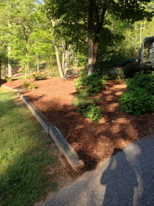 Fresh mulch and no weeds!!!