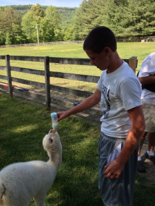 Coleson feeding Keta!