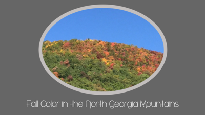 Fall Color in the North Georgia Mountains