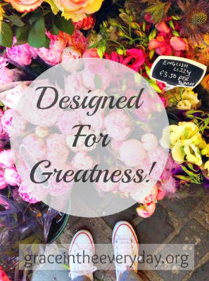 Designed for Greatness Tammy Provins