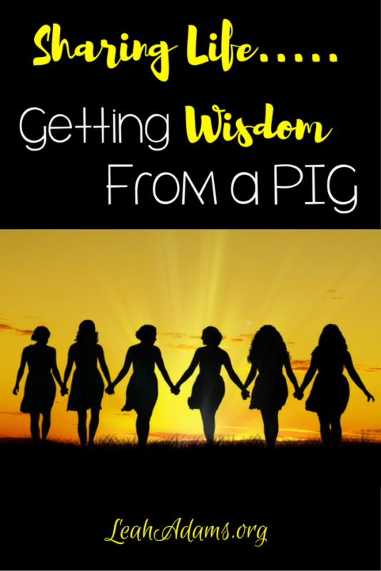 Sharing Life Wisdom from a Pig